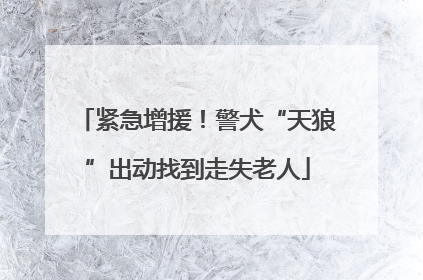 紧急增援！警犬“天狼”出动找到走失老人