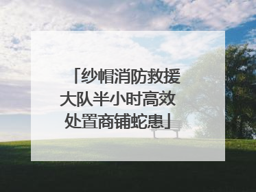 纱帽消防救援大队半小时高效处置商铺蛇患