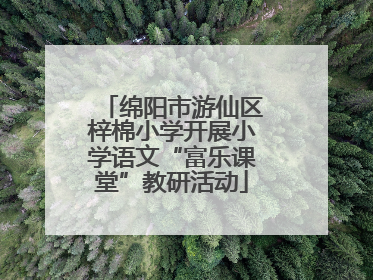 绵阳市游仙区梓棉小学开展小学语文“富乐课堂”教研活动