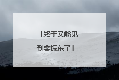 终于又能见到樊振东了
