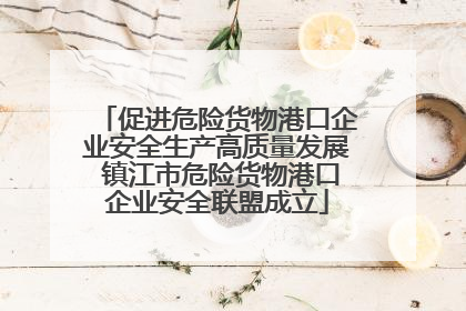 促进危险货物港口企业安全生产高质量发展 镇江市危险货物港口企业安全联盟成立