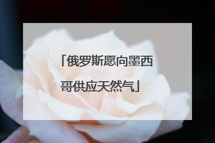 俄罗斯愿向墨西哥供应天然气