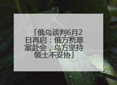 俄乌谈判6月2日再启：俄方携草案赴会，乌方坚持领土不妥协