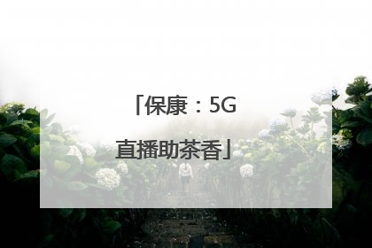 保康：5G直播助茶香