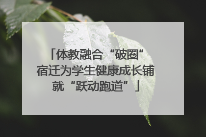 体教融合“破圈” 宿迁为学生健康成长铺就“跃动跑道”
