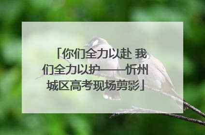 你们全力以赴 我们全力以护——忻州城区高考现场剪影