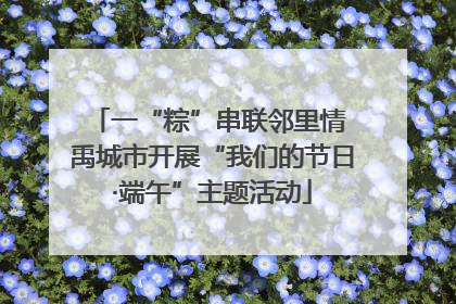 一“粽”串联邻里情 禹城市开展“我们的节日·端午”主题活动