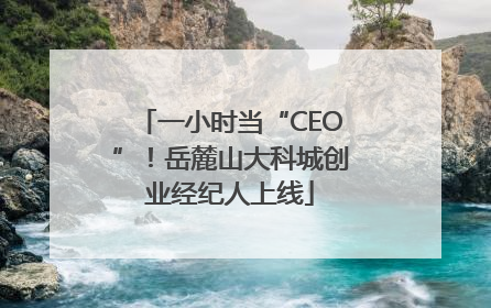 一小时当“CEO”！岳麓山大科城创业经纪人上线