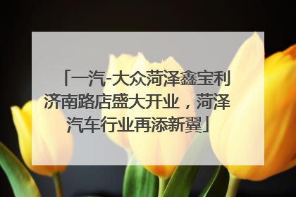 一汽-大众菏泽鑫宝利济南路店盛大开业，菏泽汽车行业再添新翼
