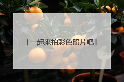 一起来拍彩色照片吧