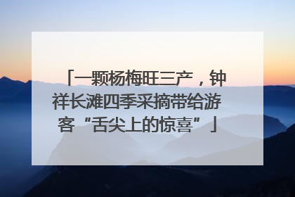 一颗杨梅旺三产，钟祥长滩四季采摘带给游客“舌尖上的惊喜”