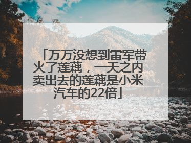 万万没想到雷军带火了莲藕，一天之内卖出去的莲藕是小米汽车的22倍