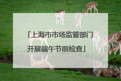 上海市市场监管部门开展端午节前检查