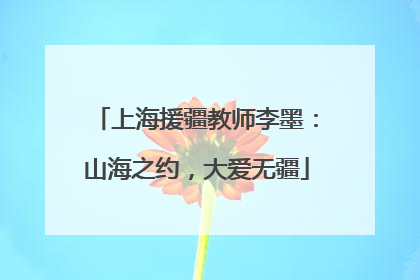 上海援疆教师李墨：山海之约，大爱无疆