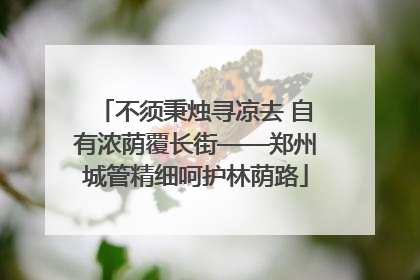 不须秉烛寻凉去 自有浓荫覆长街——郑州城管精细呵护林荫路