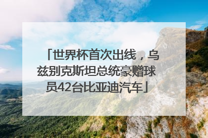 世界杯首次出线，乌兹别克斯坦总统豪赠球员42台比亚迪汽车