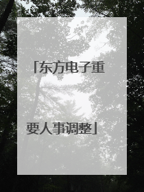 东方电子重要人事调整