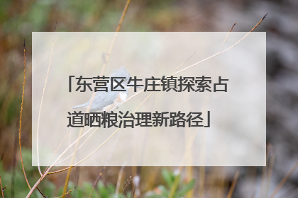 东营区牛庄镇探索占道晒粮治理新路径