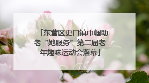 东营区史口镇巾帼助老“她服务”第二届老年趣味运动会落幕