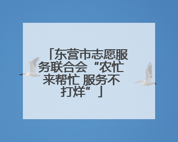 东营市志愿服务联合会“农忙来帮忙 服务不打烊”