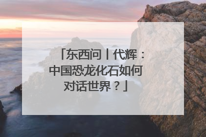 东西问丨代辉：中国恐龙化石如何对话世界？