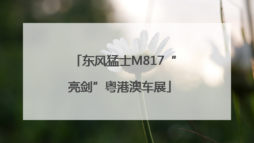 东风猛士M817“亮剑”粤港澳车展