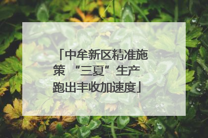 中牟新区精准施策 “三夏”生产跑出丰收加速度
