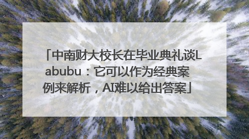 中南财大校长在毕业典礼谈Labubu：它可以作为经典案例来解析，AI难以给出答案