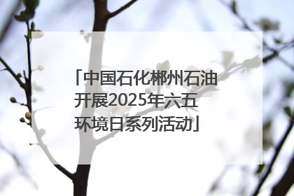 中国石化郴州石油开展2025年六五环境日系列活动