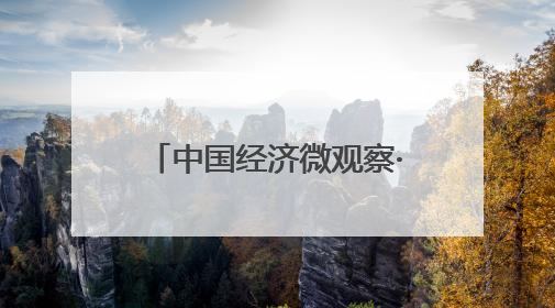 中国经济微观察·专家谈构：筑抵御外部风险制度防线 为民营企业保驾护航