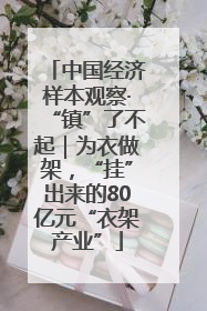中国经济样本观察·“镇”了不起｜为衣做架，“挂”出来的80亿元“衣架产业”