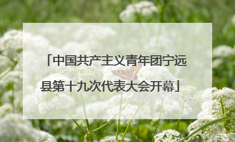 中国共产主义青年团宁远县第十九次代表大会开幕