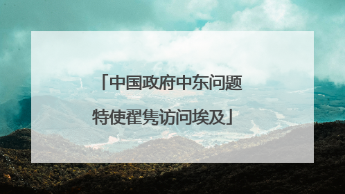 中国政府中东问题特使翟隽访问埃及