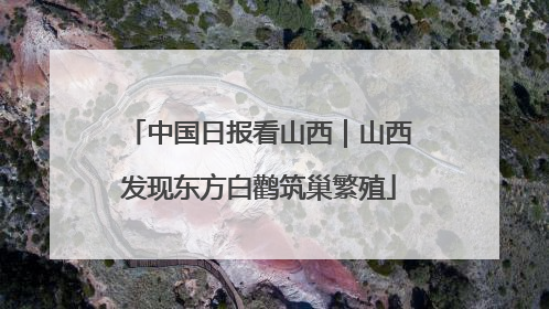 中国日报看山西｜山西发现东方白鹳筑巢繁殖