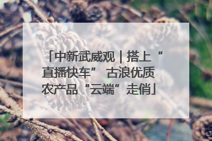 中新武威观｜搭上“直播快车” 古浪优质农产品“云端”走俏