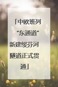 中欧班列“东通道”新建绥芬河隧道正式贯通