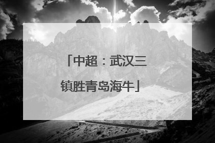 中超：武汉三镇胜青岛海牛