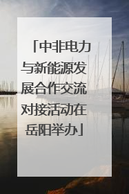 中非电力与新能源发展合作交流对接活动在岳阳举办
