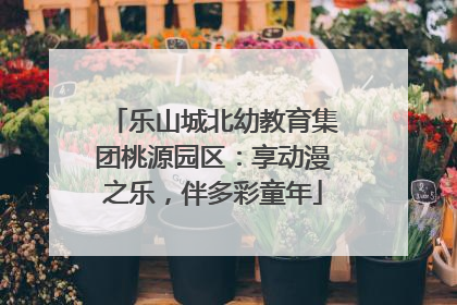 乐山城北幼教育集团桃源园区：享动漫之乐，伴多彩童年
