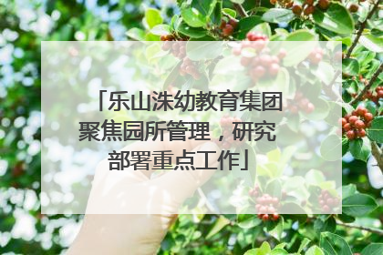 乐山洙幼教育集团聚焦园所管理，研究部署重点工作