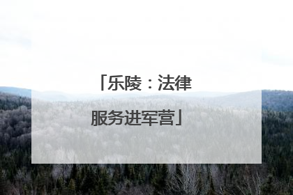 乐陵：法律服务进军营