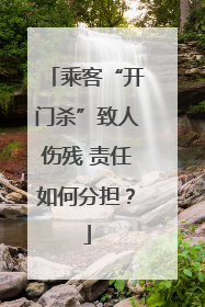 乘客“开门杀”致人伤残 责任如何分担？