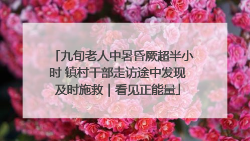 九旬老人中暑昏厥超半小时 镇村干部走访途中发现及时施救｜看见正能量