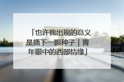 也许我出现的意义是播下一颗种子｜青年眼中的西部情缘