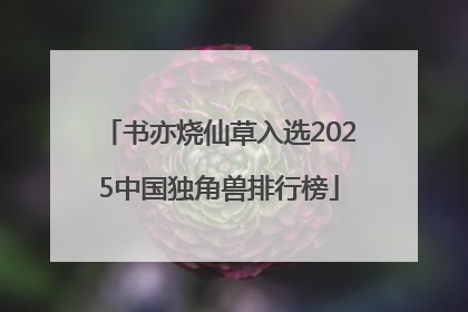 书亦烧仙草入选2025中国独角兽排行榜