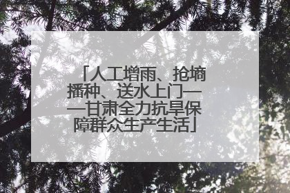 人工增雨、抢墒播种、送水上门——甘肃全力抗旱保障群众生产生活