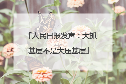 人民日报发声：大抓基层不是大压基层