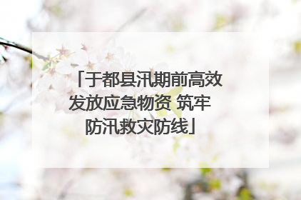 于都县汛期前高效发放应急物资 筑牢防汛救灾防线