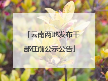 云南两地发布干部任前公示公告