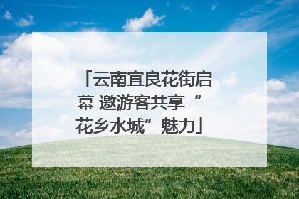 云南宜良花街启幕 邀游客共享“花乡水城”魅力